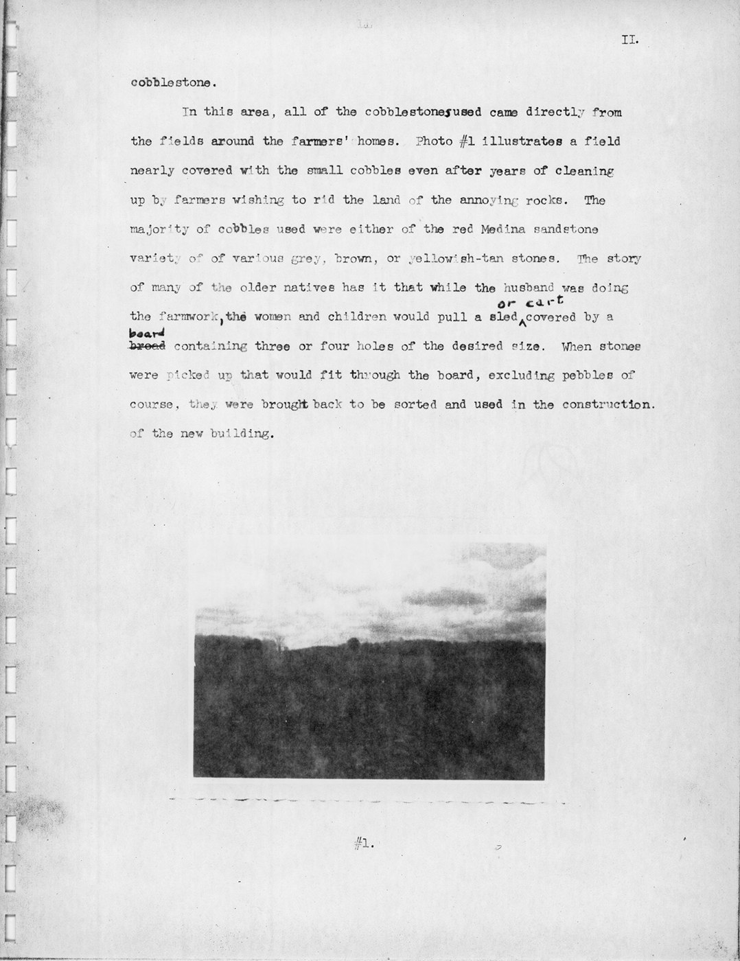 Wood Survey P2 19550618